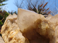 Natural Huge Cascading White Phantom Smokey Quartz Cluster x 1 From Luena, Congo - Toprock Gemstones and Minerals 