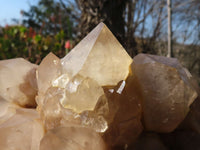 Natural Huge Cascading White Phantom Smokey Quartz Cluster x 1 From Luena, Congo - Toprock Gemstones and Minerals 