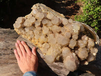 Natural Huge Cascading White Phantom Smokey Quartz Cluster x 1 From Luena, Congo - Toprock Gemstones and Minerals 