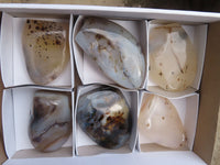 Polished Agate Standing Free Forms x 6 From West Coast, Madagascar