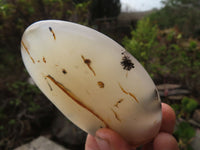 Polished Agate Standing Free Forms x 6 From West Coast, Madagascar