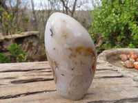Polished Agate Standing Free Forms x 6 From West Coast, Madagascar