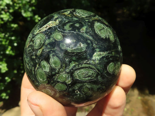 Polished Stromatolite / Kambamba Jasper Spheres  x 2 From Madagascar - TopRock