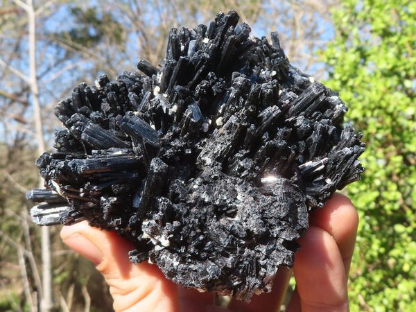 Natural Schorl Black Tourmaline Specimens x 2 From Erongo, Namibia - Toprock Gemstones and Minerals 