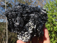 Natural Schorl Black Tourmaline Specimens x 2 From Erongo, Namibia - Toprock Gemstones and Minerals 