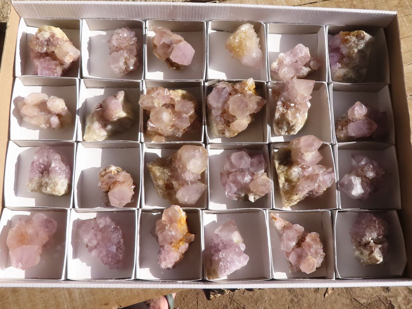 Natural Mixed Spirit Amethyst Quartz Crystals & Clusters  x 24 From Boekenhouthoek, South Africa - Toprock Gemstones and Minerals 