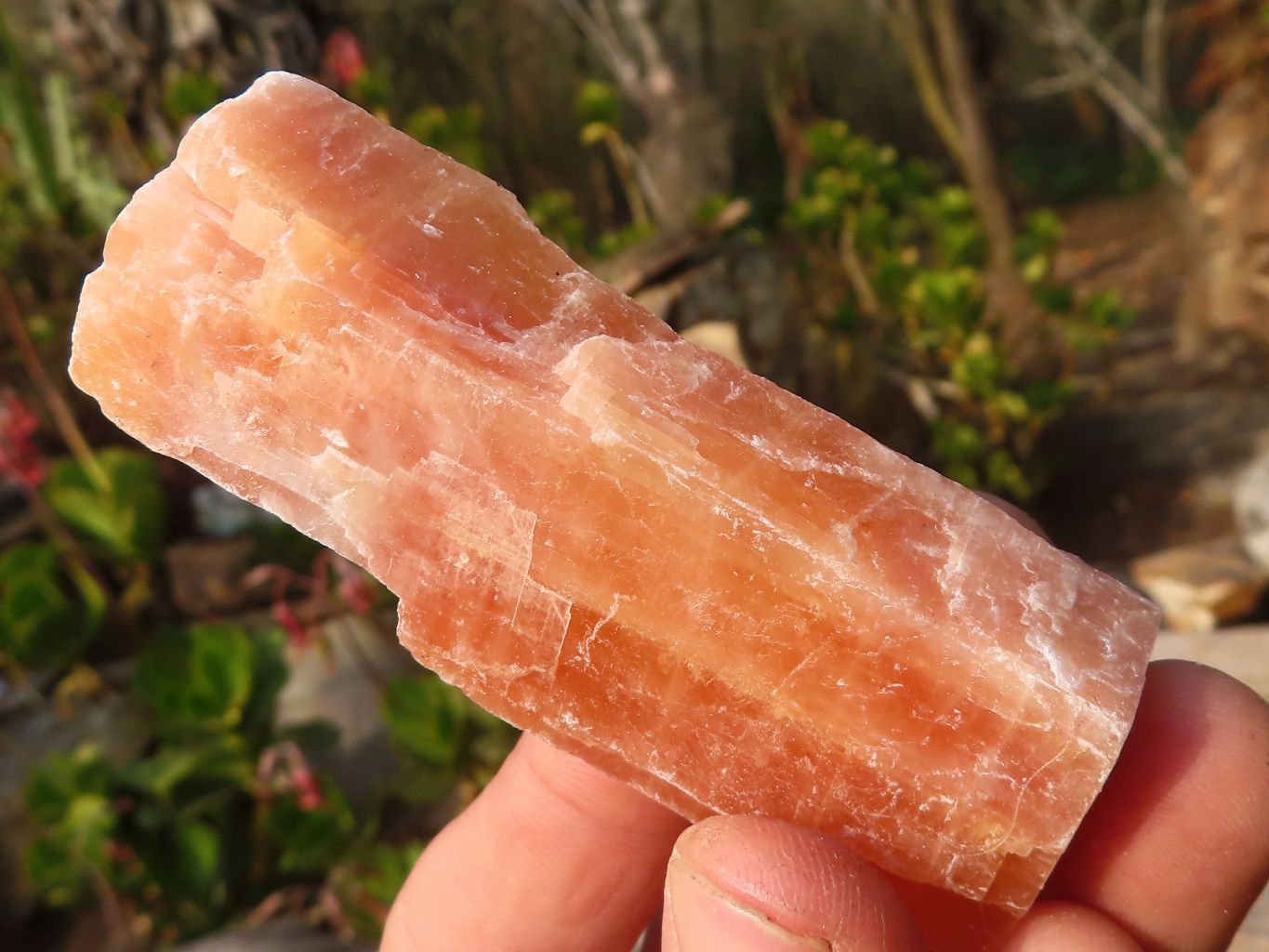 Natural New Sunset Orange Calcite Specimens  x 24 From Spitzkop, Namibia - Toprock Gemstones and Minerals 