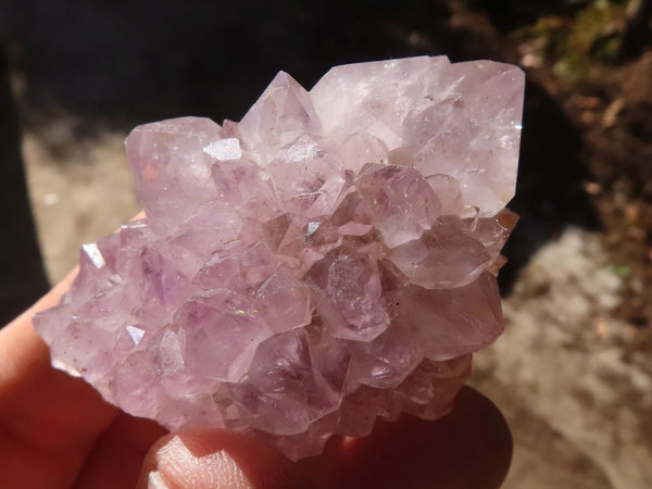 Natural Mixed Spirit Amethyst Quartz Crystals & Clusters  x 24 From Boekenhouthoek, South Africa - Toprock Gemstones and Minerals 