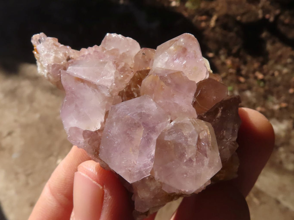 Natural Mixed Spirit Amethyst Quartz Crystals & Clusters  x 24 From Boekenhouthoek, South Africa - Toprock Gemstones and Minerals 