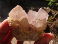 Natural Mixed Spirit Amethyst Quartz Crystals & Clusters  x 24 From Boekenhouthoek, South Africa - Toprock Gemstones and Minerals 