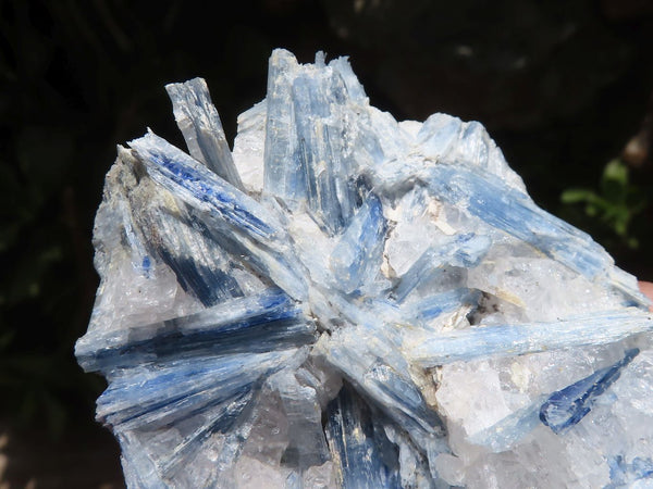 Natural Blue Kyanite In Matrix Specimens  x 3 From Karoi, Zimbabwe - TopRock