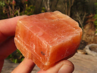 Natural New Sunset Orange Calcite Specimens  x 24 From Spitzkop, Namibia - Toprock Gemstones and Minerals 
