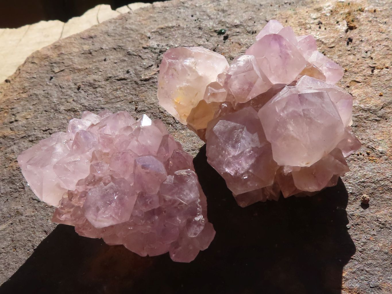 Natural Mixed Spirit Amethyst Quartz Crystals & Clusters  x 24 From Boekenhouthoek, South Africa - Toprock Gemstones and Minerals 