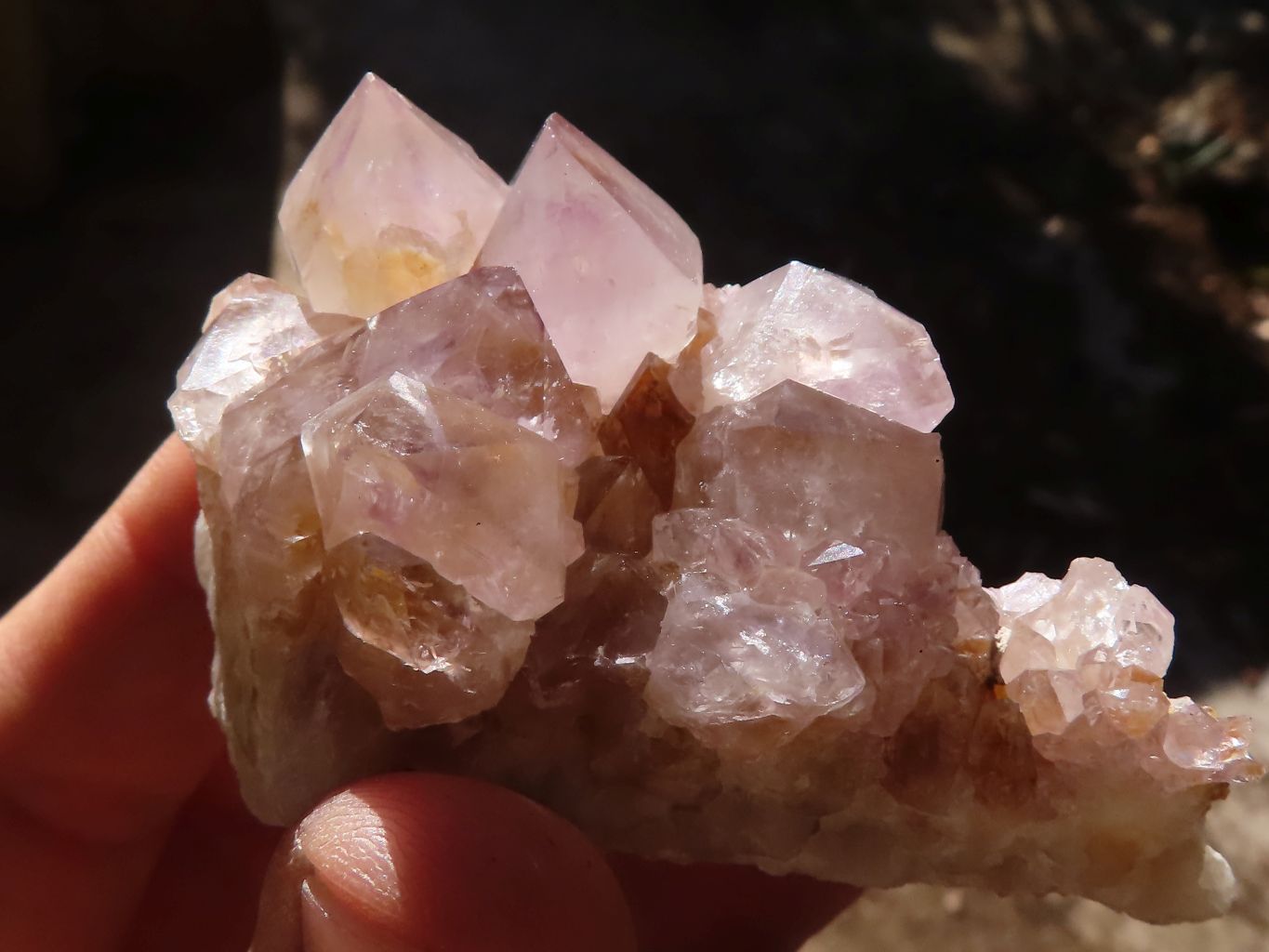 Natural Mixed Spirit Amethyst Quartz Crystals & Clusters  x 24 From Boekenhouthoek, South Africa - Toprock Gemstones and Minerals 