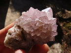 Natural Mixed Spirit Amethyst Quartz Crystals & Clusters  x 24 From Boekenhouthoek, South Africa - Toprock Gemstones and Minerals 