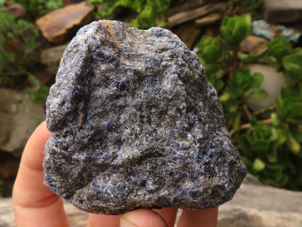 Natural Rough Iolite Water Sapphire Specimens  x 12 From Madagascar - TopRock