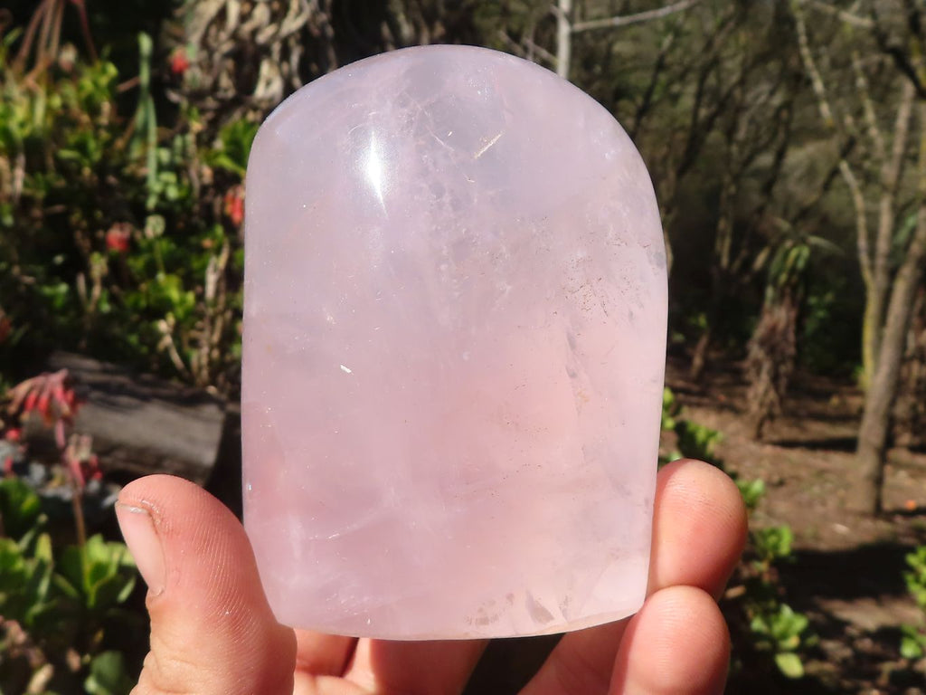 Polished Gemmy Pink Rose Quartz Standing Free Forms x 6 From Antsirabe, Madagascar - Toprock Gemstones and Minerals 