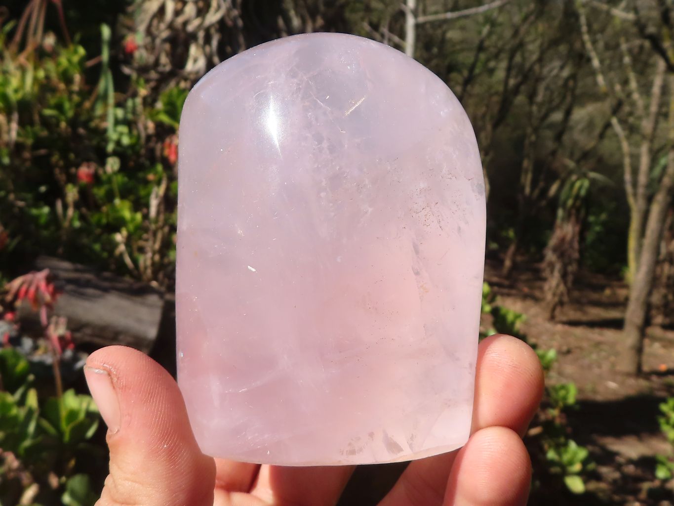 Polished Gemmy Pink Rose Quartz Standing Free Forms x 6 From Antsirabe, Madagascar - Toprock Gemstones and Minerals 