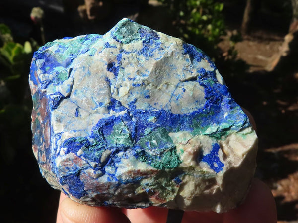 Natural Azurite & Malachite On Dolomite Specimens  x 12 From Kaokoveld, Namibia - Toprock Gemstones and Minerals 