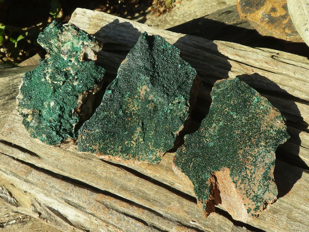 Natural Micro Botryoidal Crystalline Malachite Specimens  x 3 From Congo - Toprock Gemstones and Minerals 