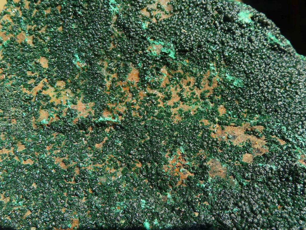 Natural Micro Botryoidal Crystalline Malachite Specimens  x 3 From Congo - Toprock Gemstones and Minerals 