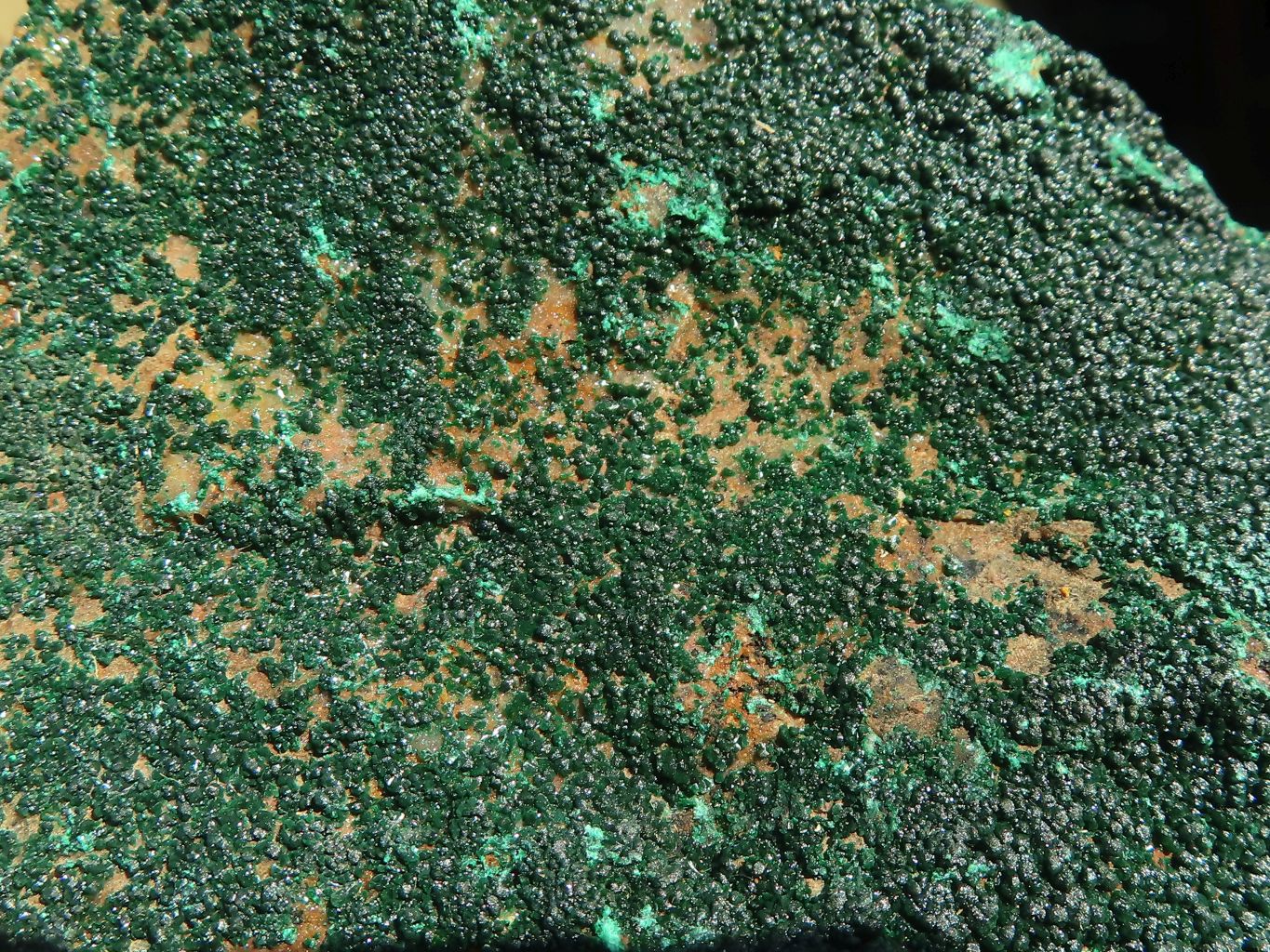 Natural Micro Botryoidal Crystalline Malachite Specimens  x 3 From Congo - Toprock Gemstones and Minerals 