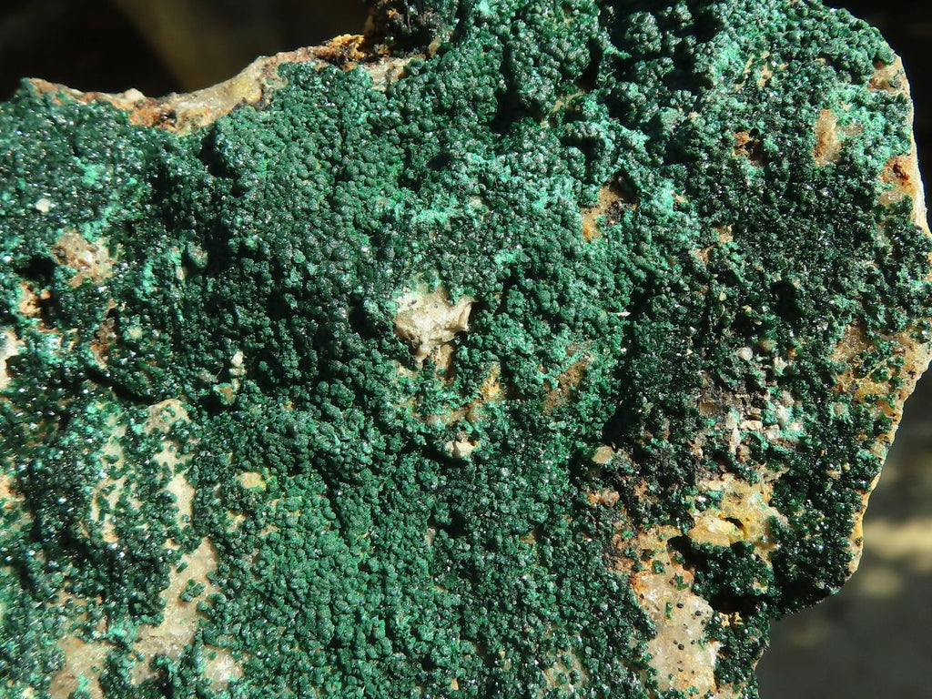 Natural Micro Botryoidal Crystalline Malachite Specimens  x 3 From Congo - Toprock Gemstones and Minerals 