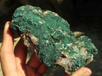 Natural Micro Botryoidal Crystalline Malachite Specimens  x 3 From Congo - Toprock Gemstones and Minerals 