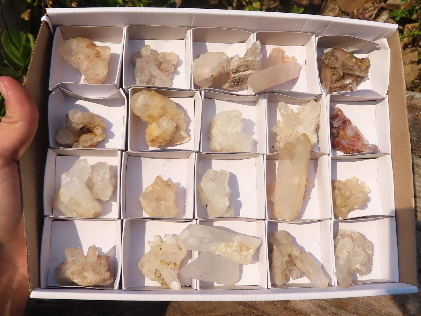 Natural Mixed Selection Of Quartz Clusters  x 23 From Madagascar - Toprock Gemstones and Minerals 