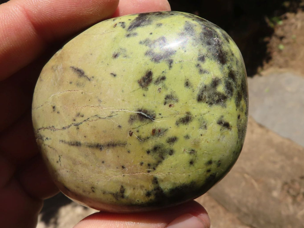 Leopard Spot Rocks Polished Leopard Stone Free Forms x 6 From Nyanga, Zimbabwe – Toprock ...