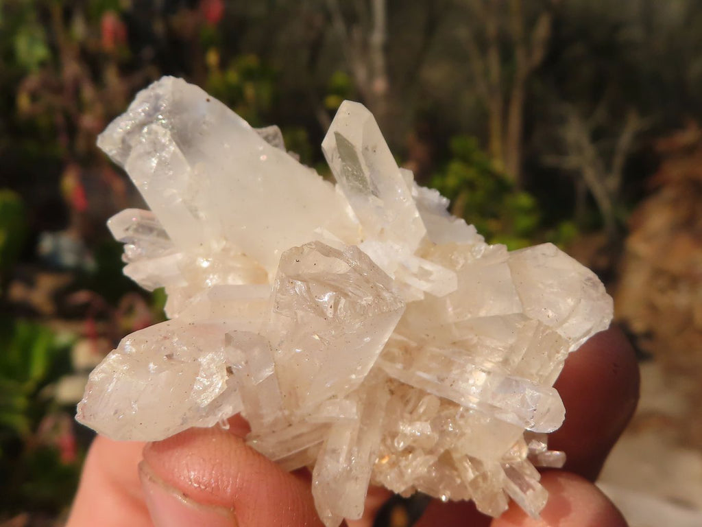 Natural Mixed Selection Of Quartz Clusters  x 23 From Madagascar - Toprock Gemstones and Minerals 