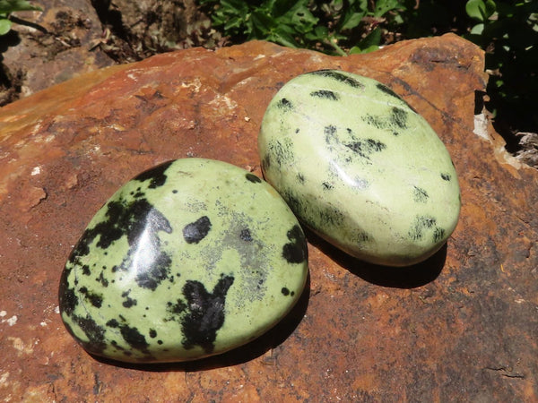 Polished Extra Large Leopard Stone Free Forms  x 6 From Zimbabwe - TopRock