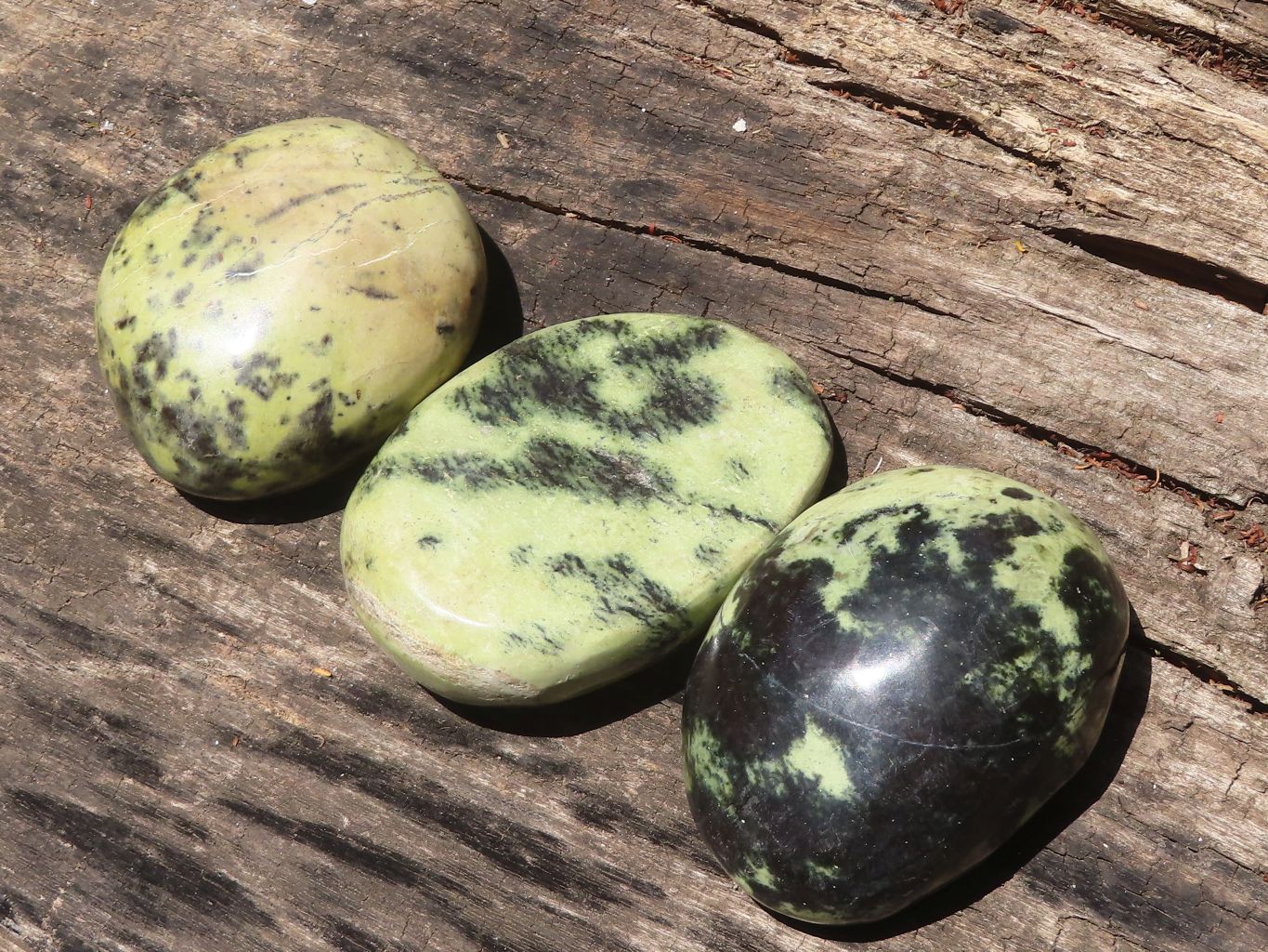 Polished Extra Large Leopard Stone Free Forms  x 6 From Zimbabwe - TopRock
