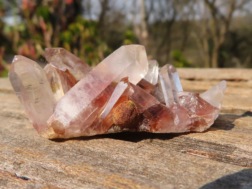 Natural Mixed Selection Of Quartz Clusters  x 23 From Madagascar - Toprock Gemstones and Minerals 