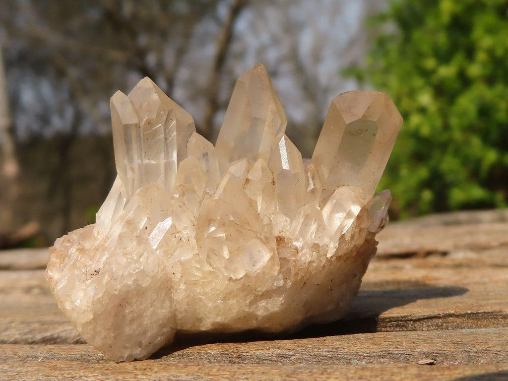 Natural Mixed Selection Of Quartz Clusters  x 23 From Madagascar - Toprock Gemstones and Minerals 