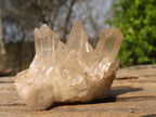Natural Mixed Selection Of Quartz Clusters  x 23 From Madagascar - Toprock Gemstones and Minerals 