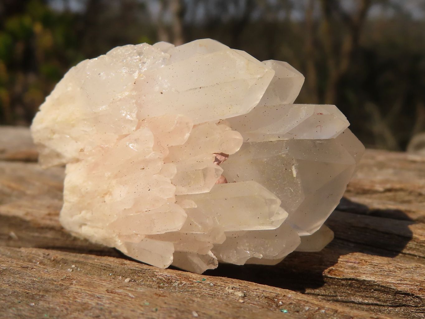 Natural Mixed Selection Of Quartz Clusters  x 23 From Madagascar - Toprock Gemstones and Minerals 