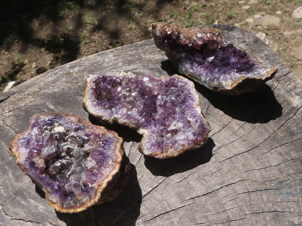 Natural Amethyst & Quartz Crystal Geode Specimens  x 12 From Zululand, South Africa - TopRock