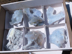 Natural Etched Blue Chalcedony Specimens  x 6 From Malawi - TopRock