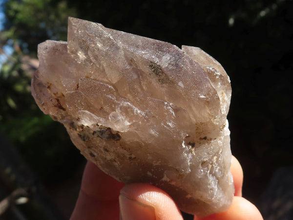 Natural Single Smokey Quartz Crystals  x 13 From Mulanje, Malawi - Toprock Gemstones and Minerals 