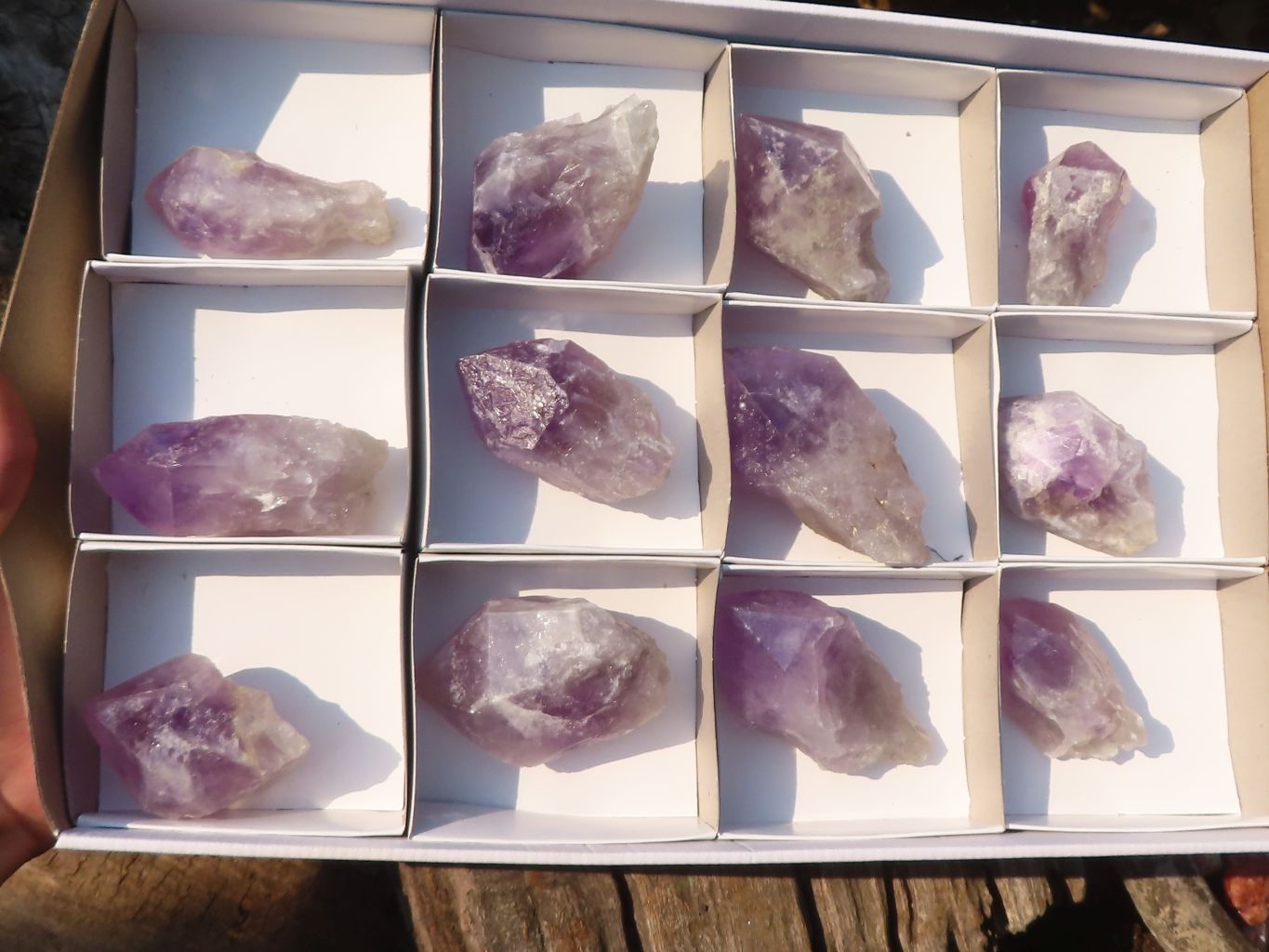Natural Single Jacaranda Amethyst Crystals x 12 From Mumbwe, Zambia - Toprock Gemstones and Minerals 