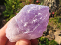 Natural Single Jacaranda Amethyst Crystals x 12 From Mumbwe, Zambia - Toprock Gemstones and Minerals 