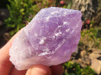 Natural Single Jacaranda Amethyst Crystals x 12 From Mumbwe, Zambia - Toprock Gemstones and Minerals 