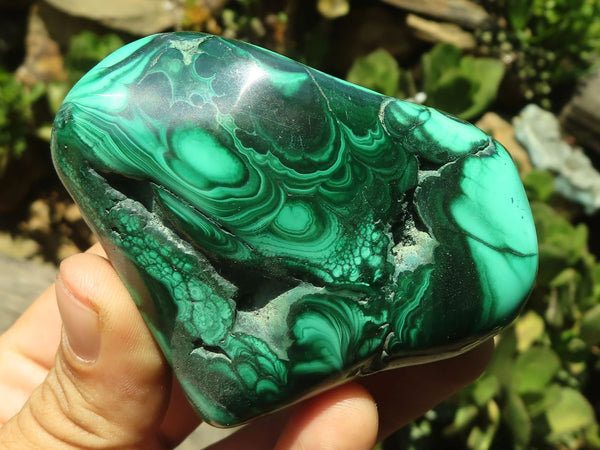 Polished Malachite Free Forms With Stunning Flower & Banding Patterns x 6 From Congo - TopRock