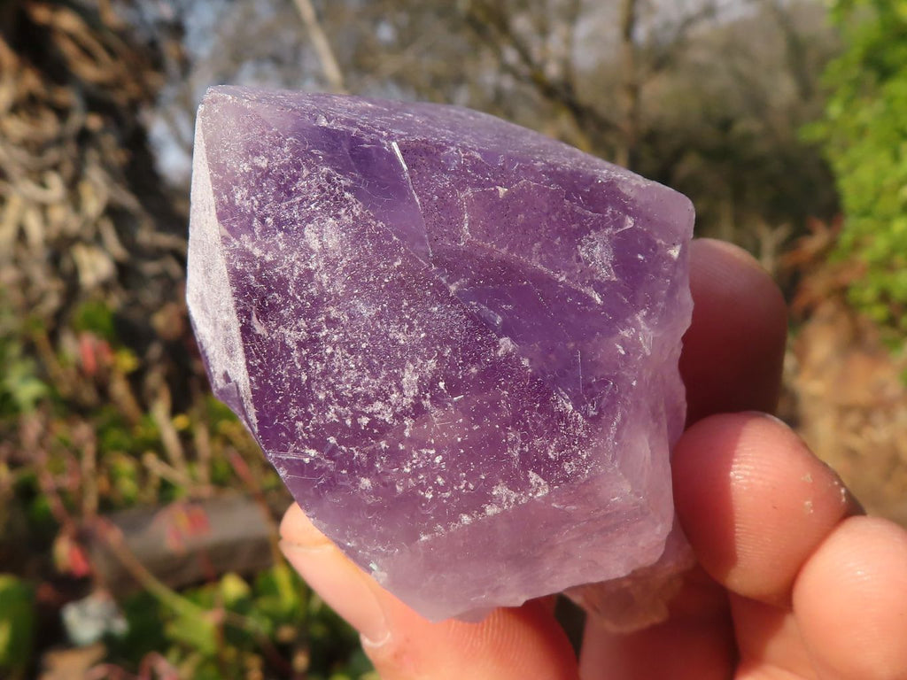 Natural Single Jacaranda Amethyst Crystals x 12 From Mumbwe, Zambia - Toprock Gemstones and Minerals 
