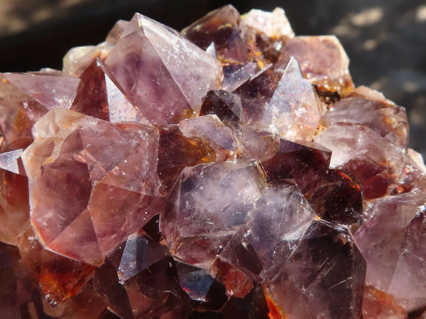 Natural Mixed Spirit Amethyst Quartz Clusters  x 6 From Boekenhouthoek, South Africa - Toprock Gemstones and Minerals 
