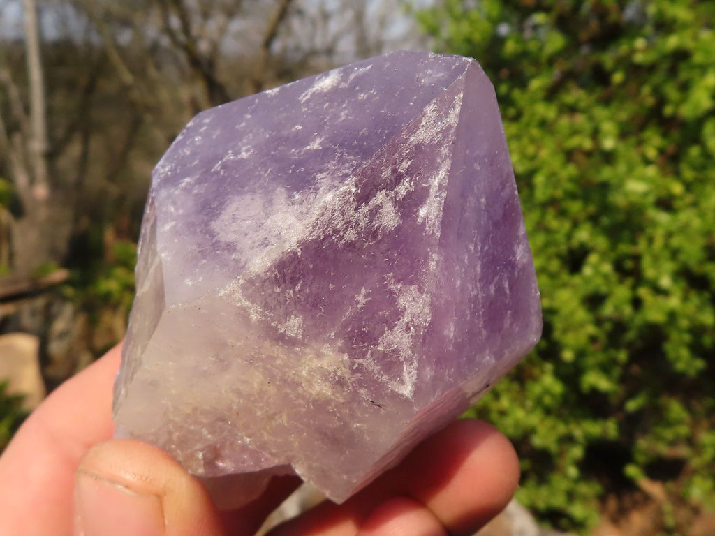 Natural Single Jacaranda Amethyst Crystals x 12 From Mumbwe, Zambia - Toprock Gemstones and Minerals 