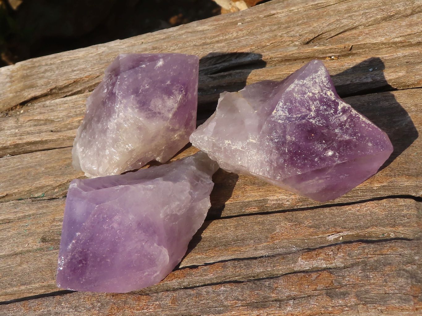 Natural Single Jacaranda Amethyst Crystals x 12 From Mumbwe, Zambia - Toprock Gemstones and Minerals 