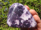 Polished Purple Lepidolite Free Forms  x 6 From Zimbabwe - Toprock Gemstones and Minerals 