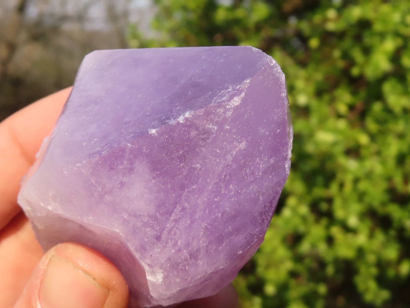 Natural Single Jacaranda Amethyst Crystals x 12 From Mumbwe, Zambia - Toprock Gemstones and Minerals 